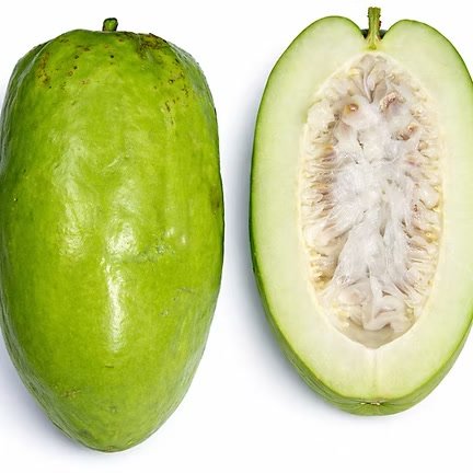 Giant Granadilla fruit identification reference