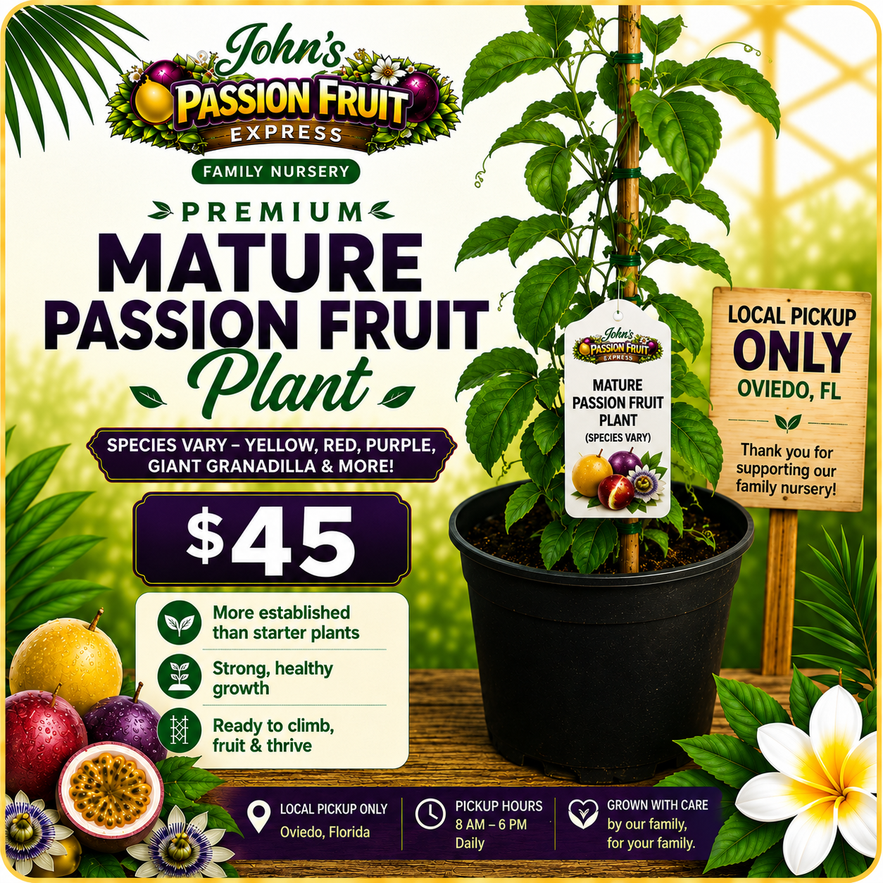 Established passion fruit plant for local pickup