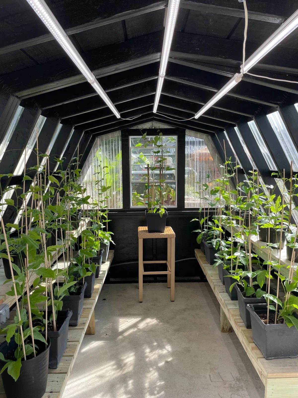 Passion fruit Learning Center