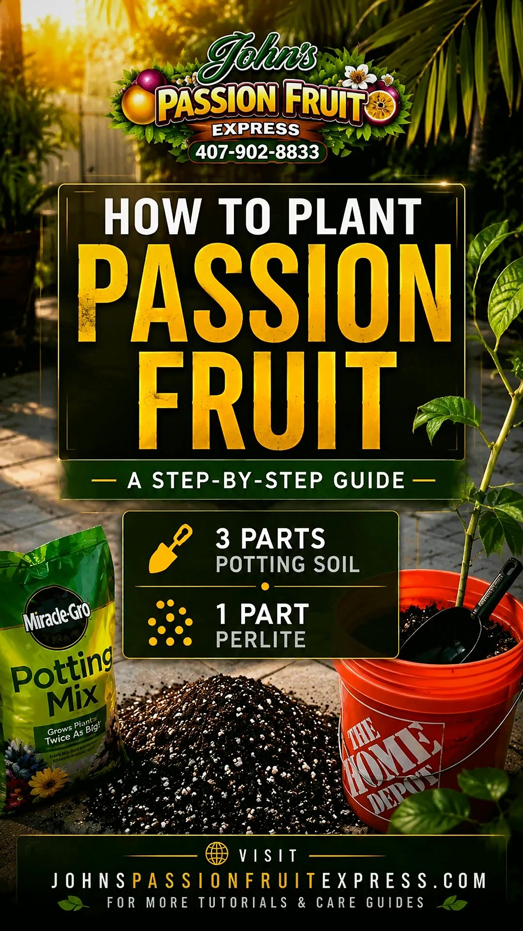 How to plant passion fruit step-by-step video guide