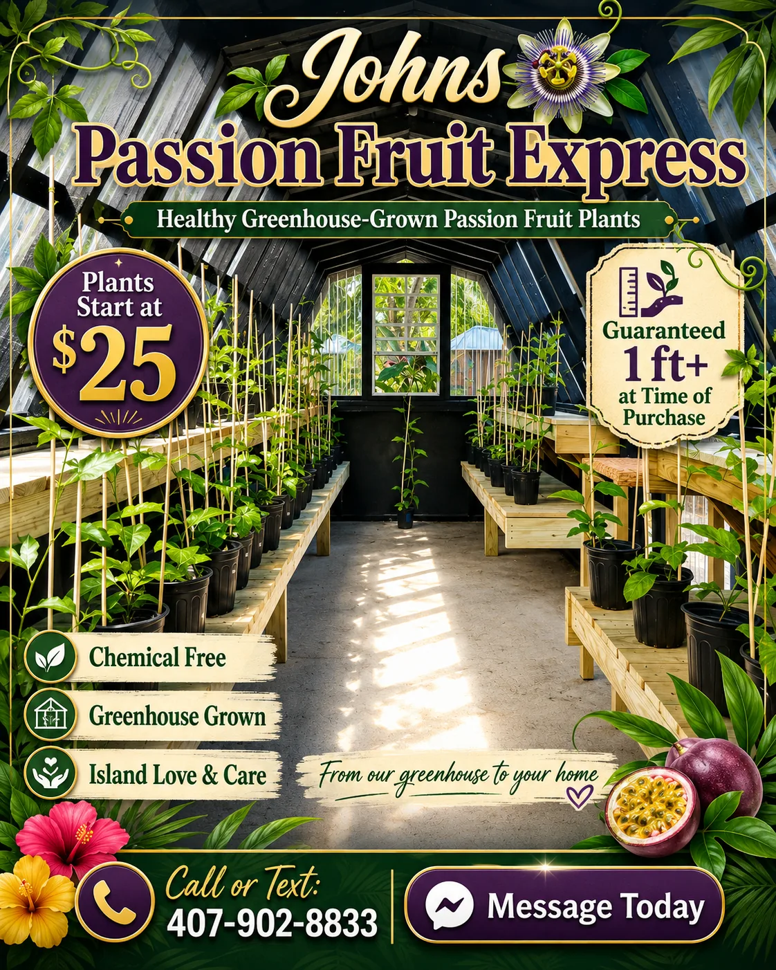 John’s Passion Fruit Express marketplace flyer for greenhouse-grown purple passion fruit plants. Official contact phone: 407-902-8833