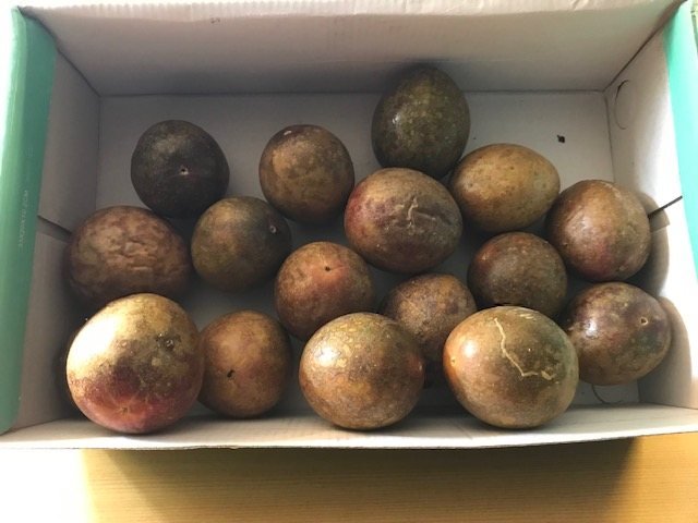 Passion fruit development and harvest