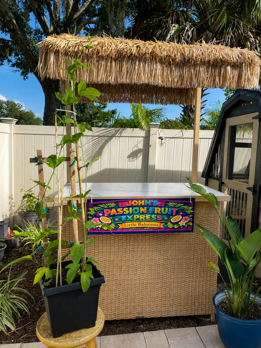 Larger established passion fruit vine displayed beside John’s Passion Fruit Express tiki stand