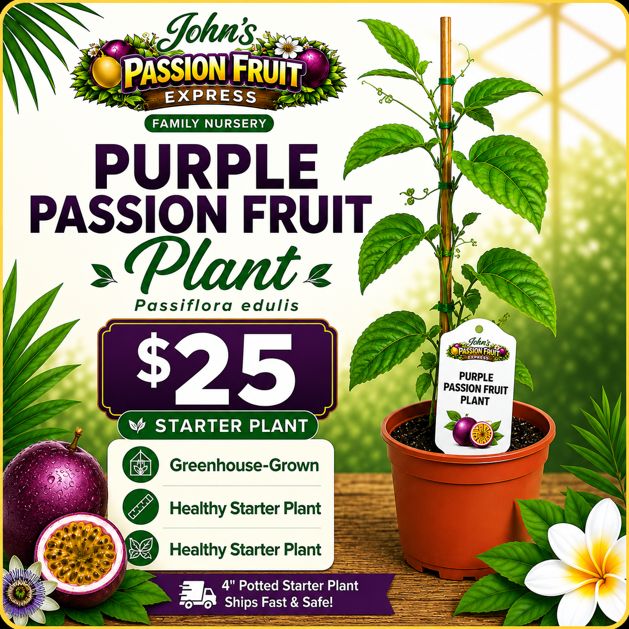 Purple Passion Fruit starter plant for $25