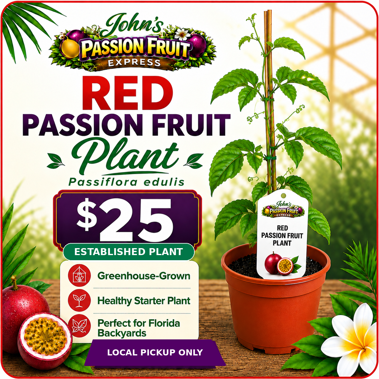Red Passion Fruit variety