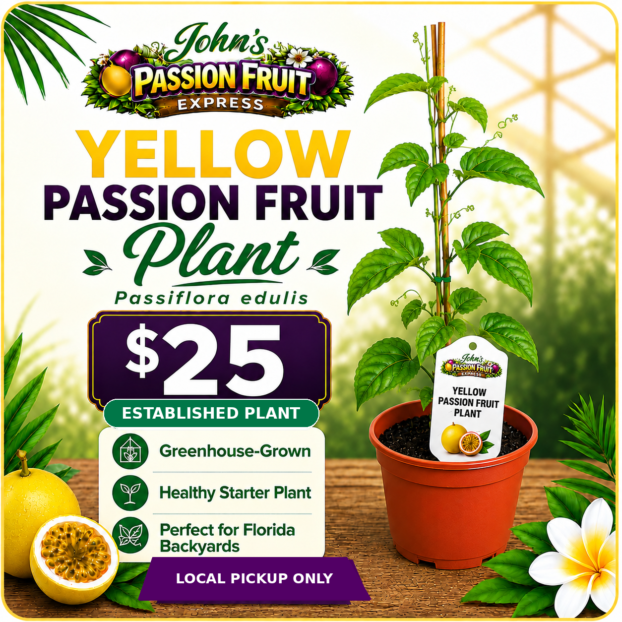 Yellow Passion Fruit variety