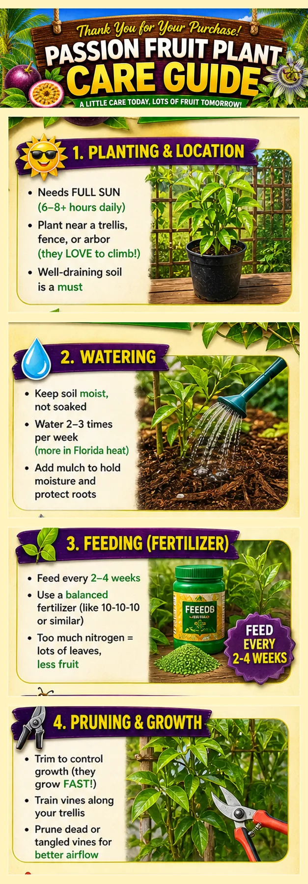 Passion fruit plant care guide with quick tips for watering, sunlight, support, and greenhouse-grown passion fruit vines