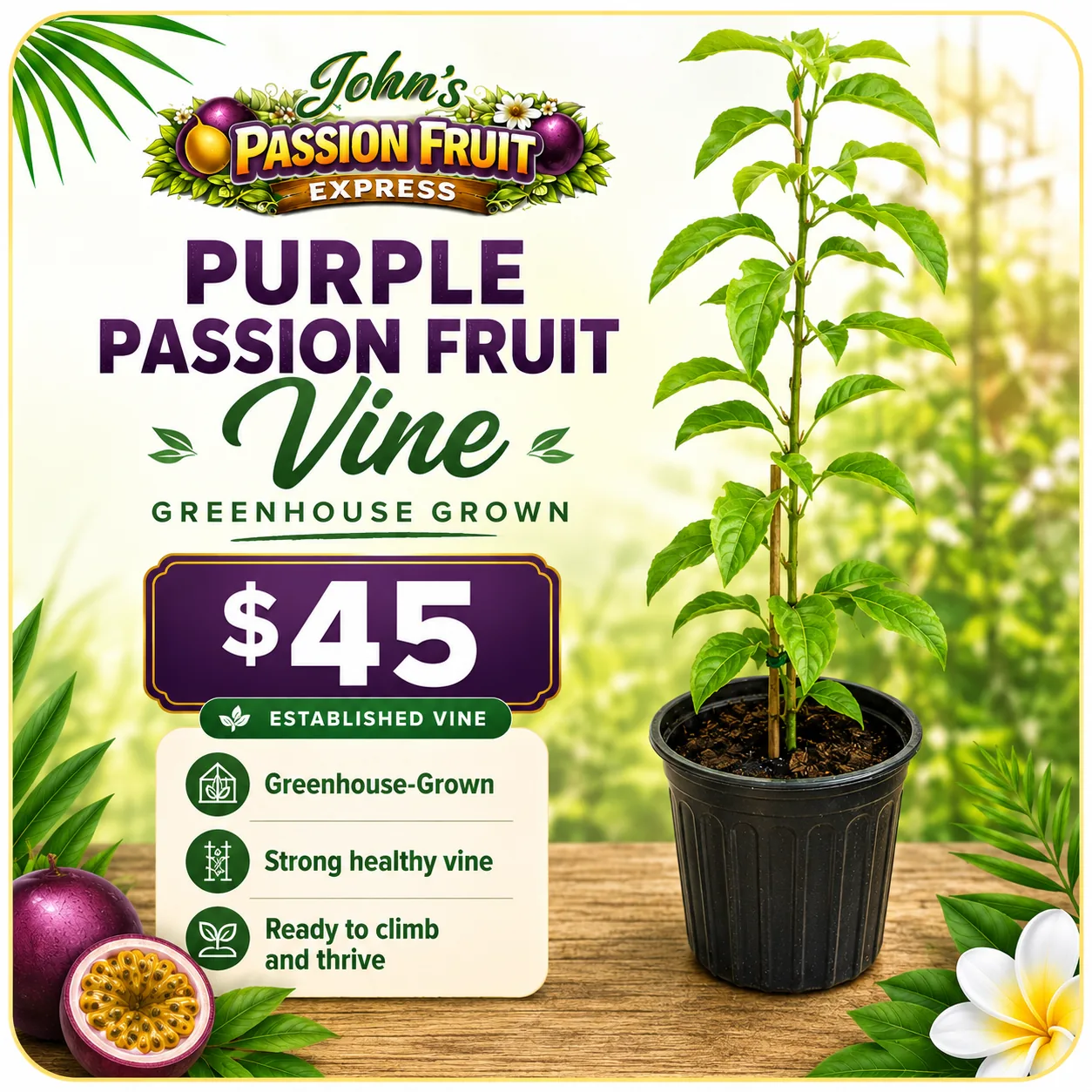 Greenhouse-grown established passion fruit vine product option for pickup delivery and shipping
